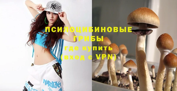 spice Нягань