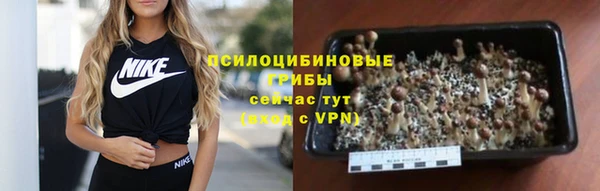 герыч Новодвинск