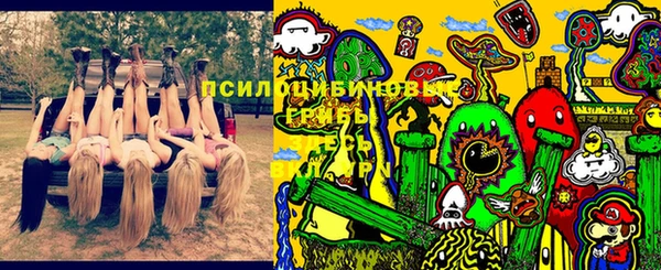 ГАЛЛЮЦИНОГЕННЫЕ ГРИБЫ Нязепетровск