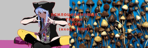 кокаин премиум Новокубанск