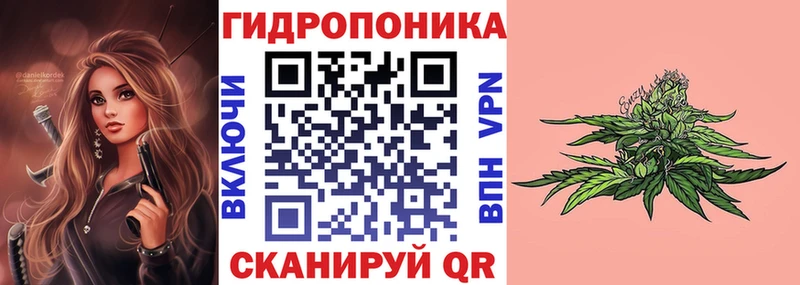 Шишки марихуана индика Пугачёв