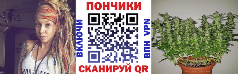 Бошки марихуана AK-47  darknet наркотические препараты  Пугачёв 